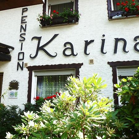 Lindenfels Pension Karina מראה חיצוני תמונה