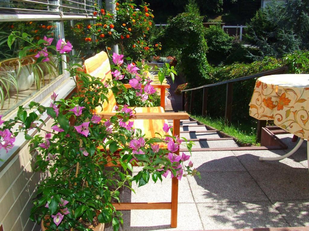 Lindenfels Pension Karina חדר תמונה