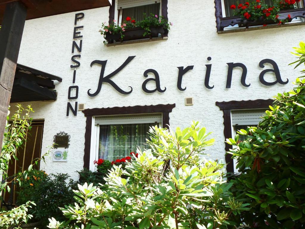 Lindenfels Pension Karina מראה חיצוני תמונה